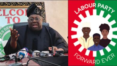 PDP spokesman, Dele Momodu applauds Labour Party's turnout in Lagos