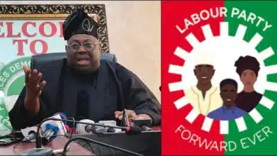PDP spokesman, Dele Momodu applauds Labour Party's turnout in Lagos