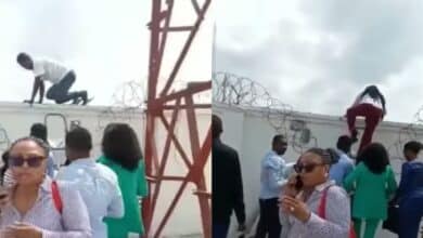 Bank workers scaling fence new naira notes