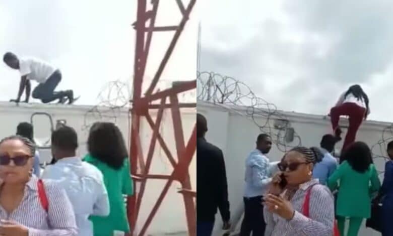Bank workers scaling fence new naira notes