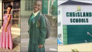 Lagos govt shuts Chrisland School over Whitney Adeniran's death