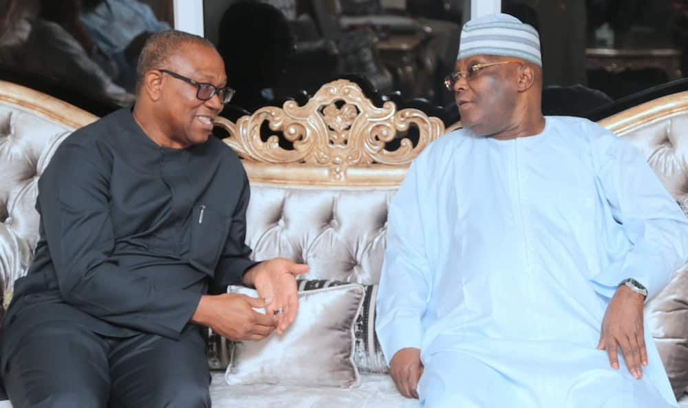 "Accept defeat, don't waste your time" — Senator Bent urges Peter Obi, Atiku