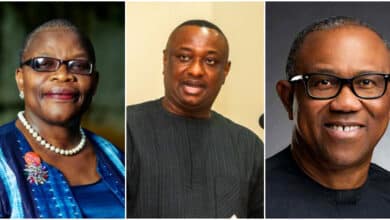 A word is sufficient to prevent foolishness - Oby Ezekwesili drags Festus Keyamo’s petition against Peter Obi