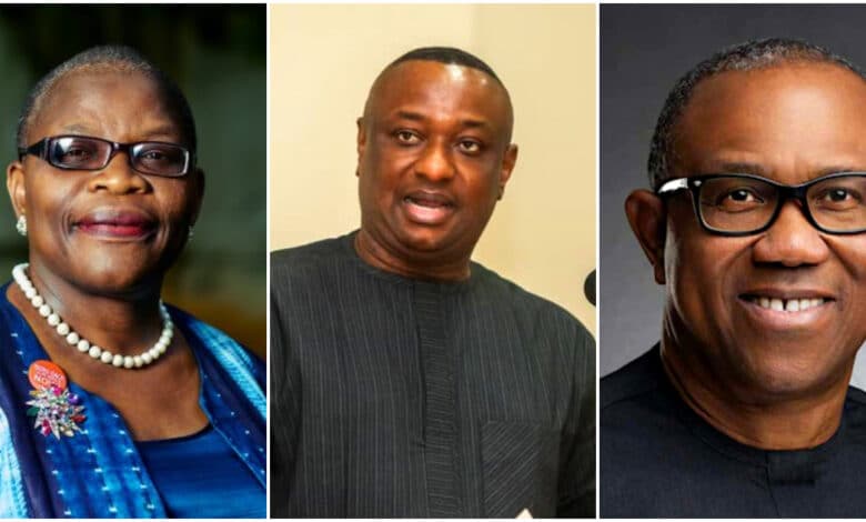 A word is sufficient to prevent foolishness - Oby Ezekwesili drags Festus Keyamo’s petition against Peter Obi