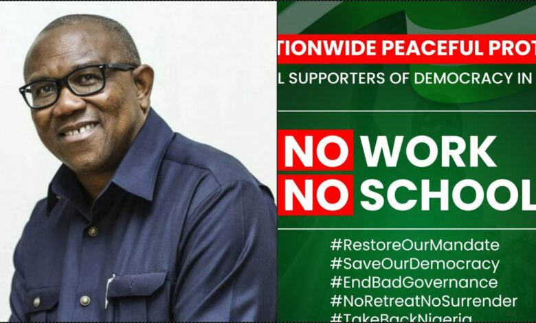 Peter Obi dissociates self from Obidient's #EndINEC protest, accuses opposition parties