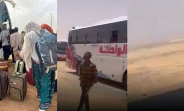Nigerians Sudan laments bus stop middle nowhere drivers