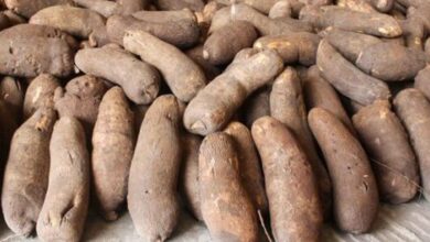 Man narrates bitter experience starting a yam business in Lagos