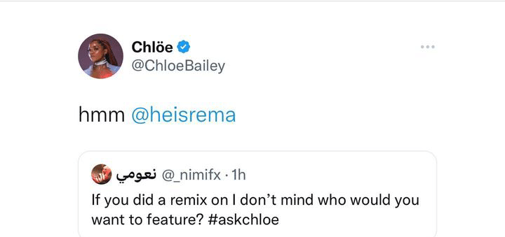 "I want to work with Rema" - American musician, Chloe Bailey says