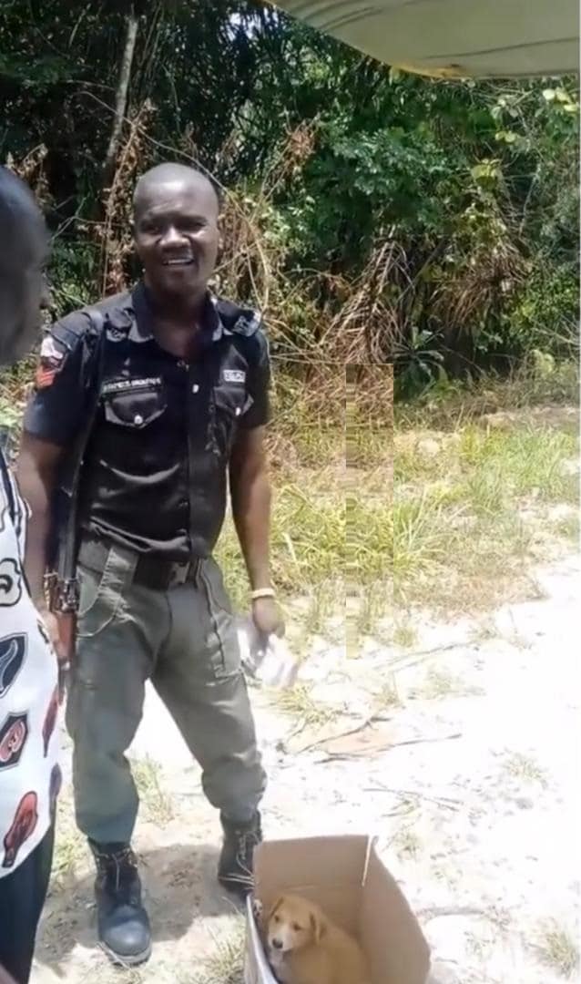 Drama as Police vows to arrest dog over owner's failure to provide its license (Video)