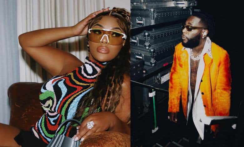 Stefflon Don lambasts trolls insinuating she's yet to get over ex, Burna Boy