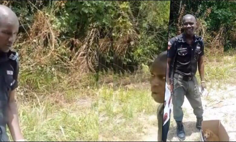 Drama as Police vows to arrest dog over owner's failure to provide its license (Video)