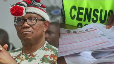 Peter Obi reacts as FG postpones 2023 census