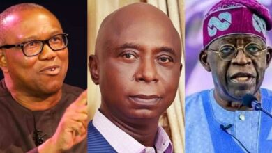 Peter Obi's petition against Tinubu is an effort in futility - Ned Nwoko
