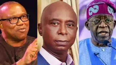 Peter Obi's petition against Tinubu is an effort in futility - Ned Nwoko