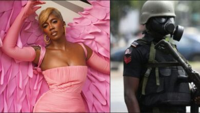 Police arrest suspects involved in attempted kidnap of Tiwa Savage