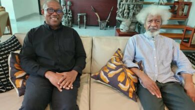Peter Obi's visit for apology, not reconciliation – Wole Soyinka