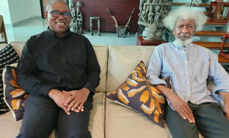Peter Obi's visit for apology, not reconciliation – Wole Soyinka