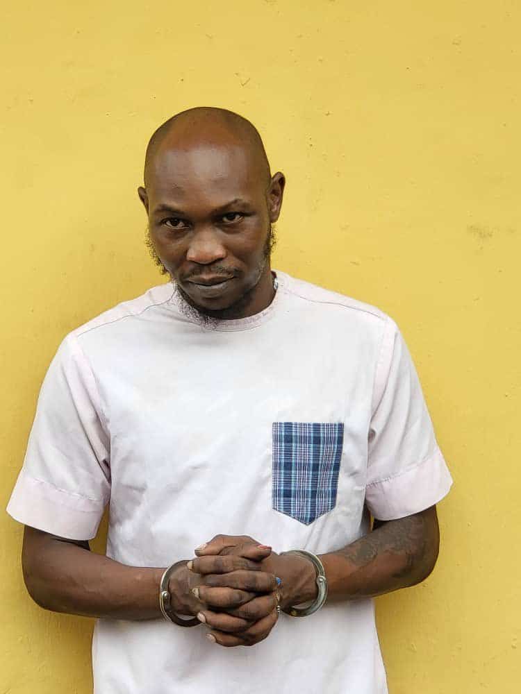 Seun Kuti arrested