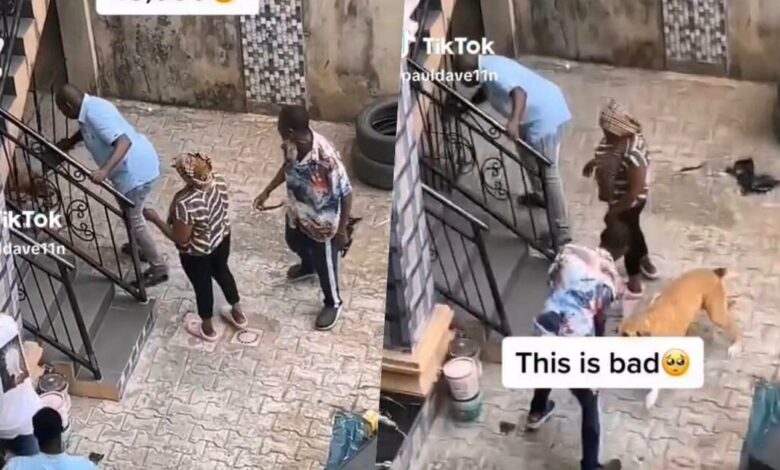 Landlord triggers outrage after releasing his dog to attack a tenant over N45,000