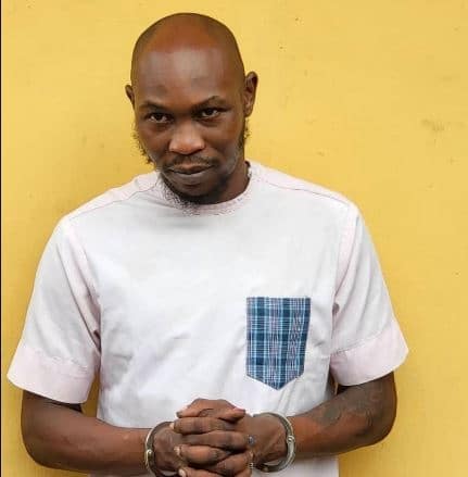 Police releases Seun Kuti on bail