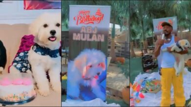 Nigerian man to throws birthday party for pet dog (Video)