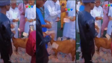 Nigerian youths throw party for goat, spray lavishly on it (Video)