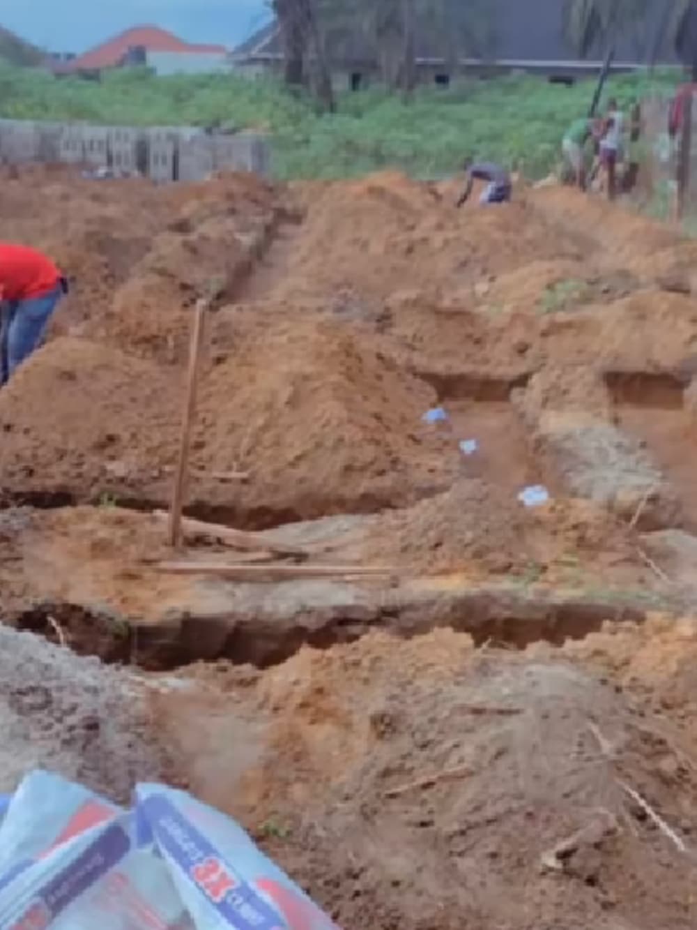 Woman shows the beautiful house she builds after years of hardwork, video goes viral