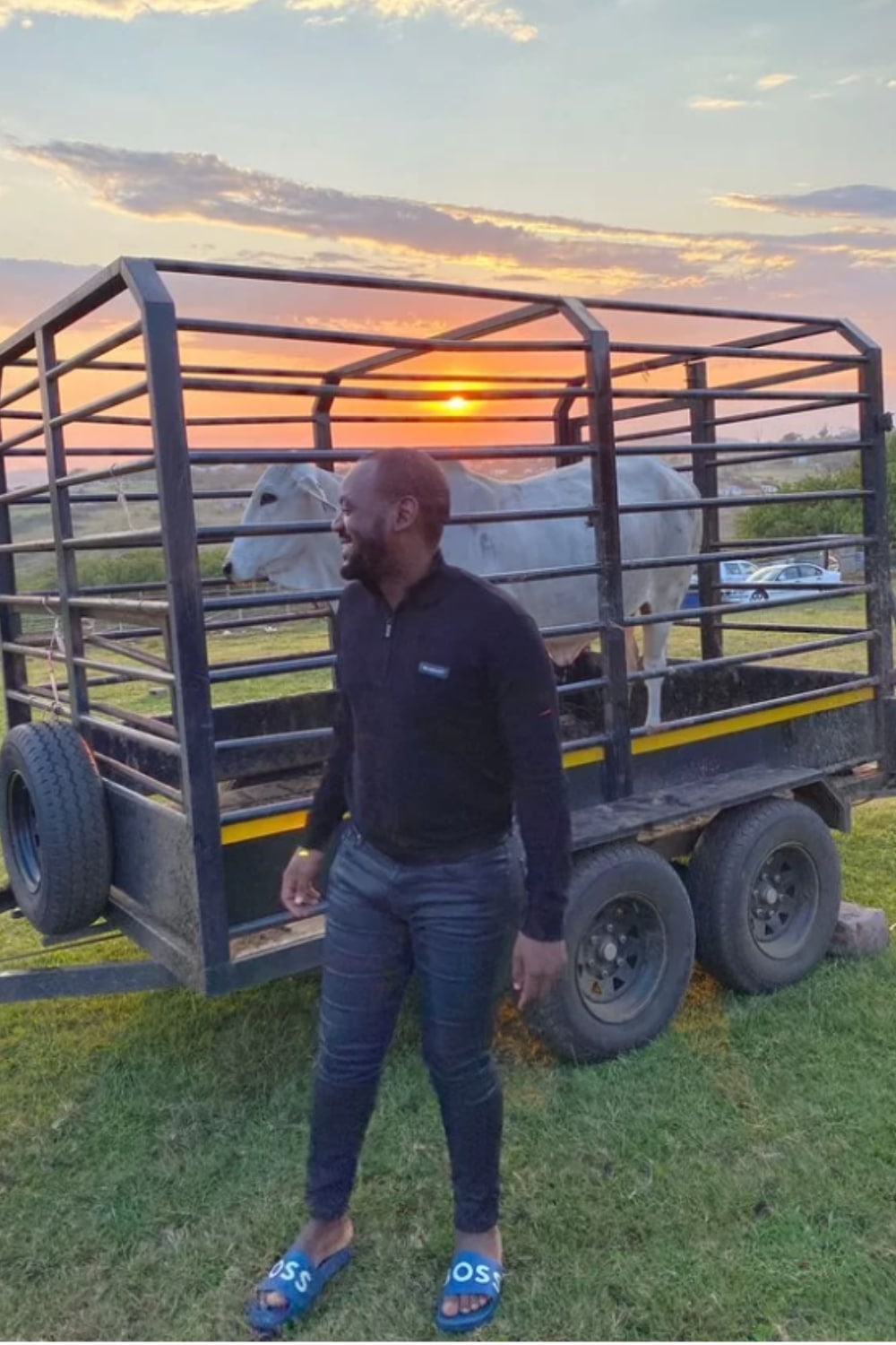 Young man buys cow as birthday gift for his father (Video)