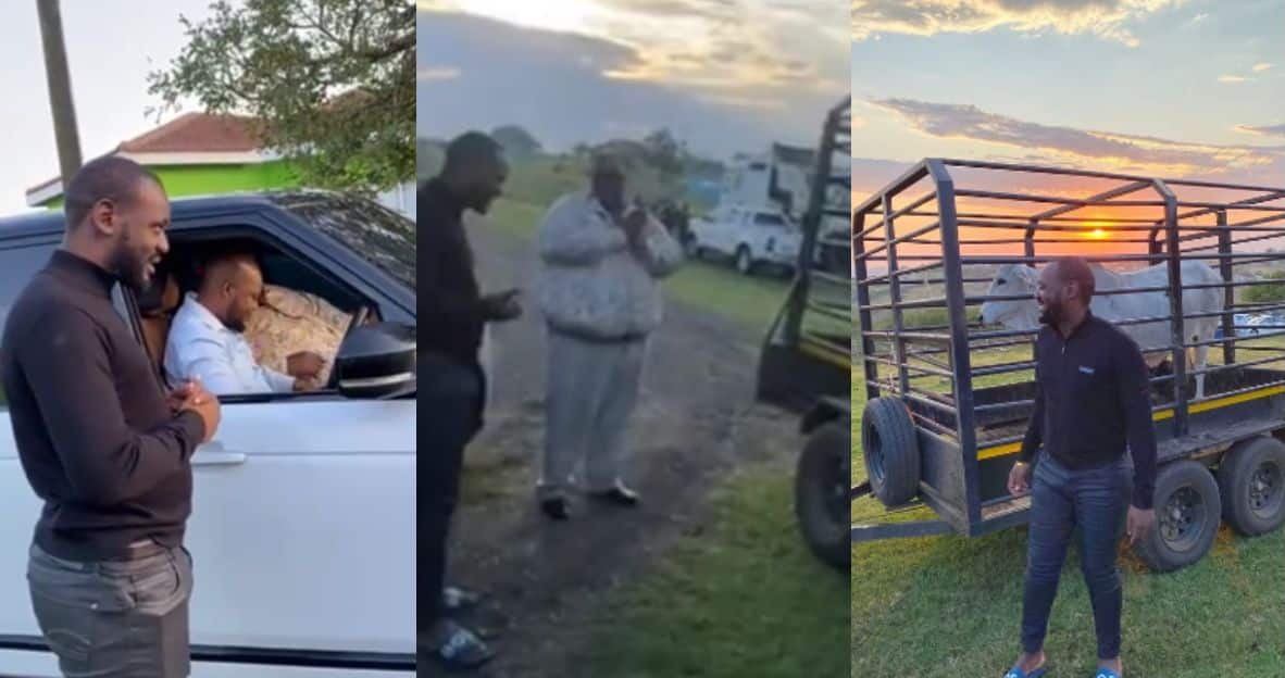 Young man buys cow as birthday gift for his father (Video)