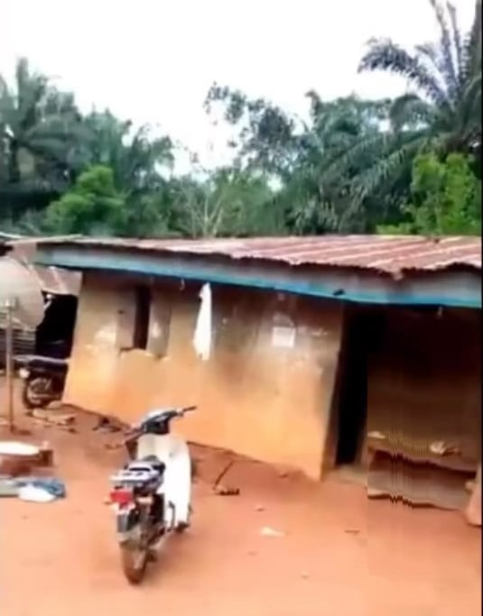 Nigerian man upgrades father’s mud house to twin duplex (Video)