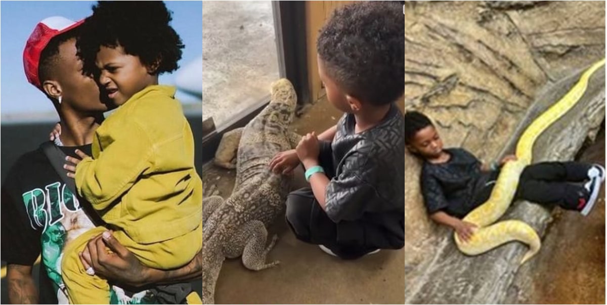 Video of Wizkid's son playing with live alligator and snake gets people talking