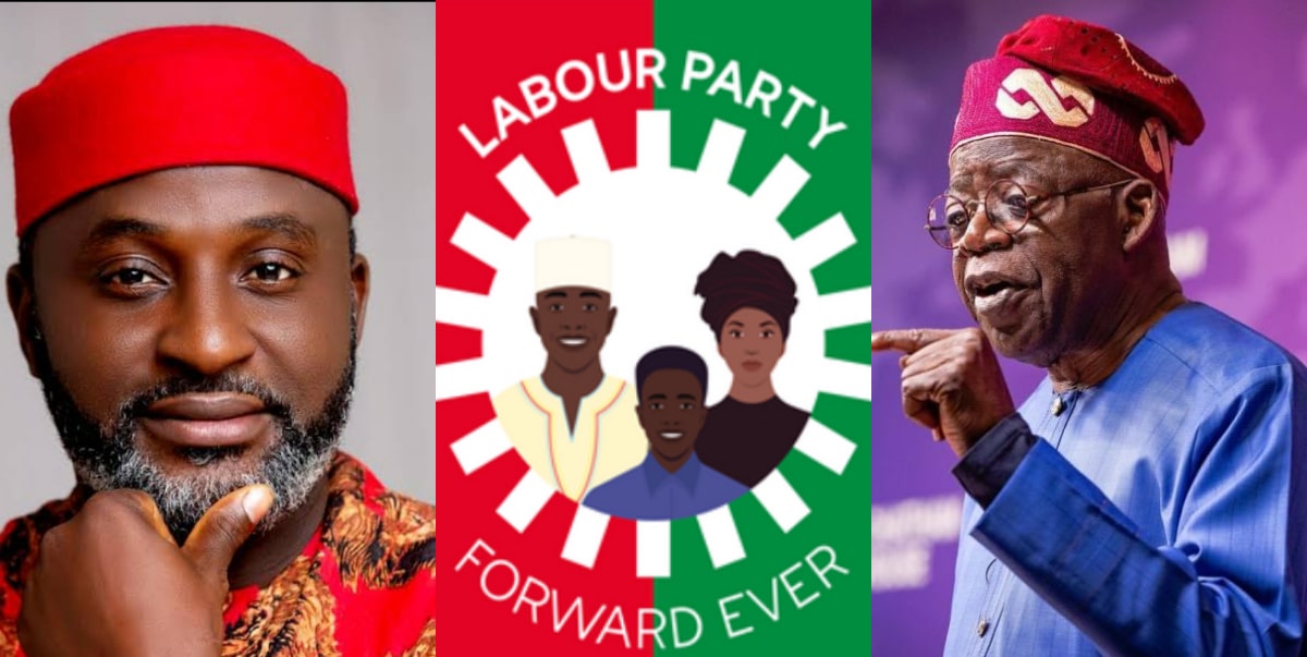 How Labour Party disowned lawmaker-elect for celebrating Tinubu's intelligence