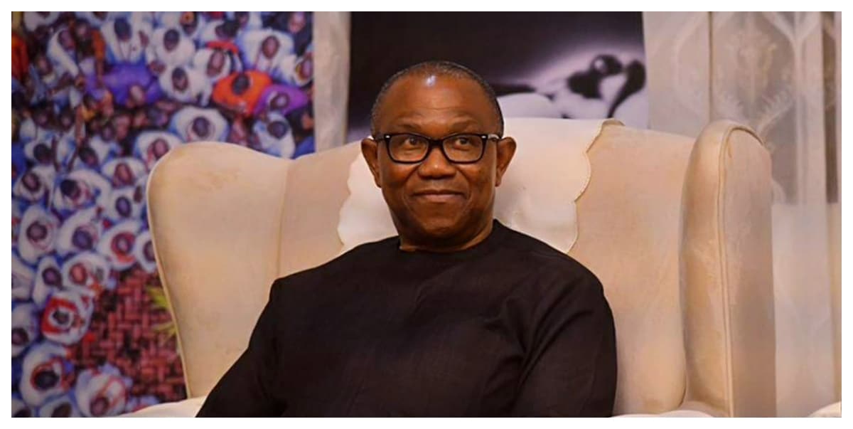 Presidential election petition: Peter Obi closes case against Tinubu