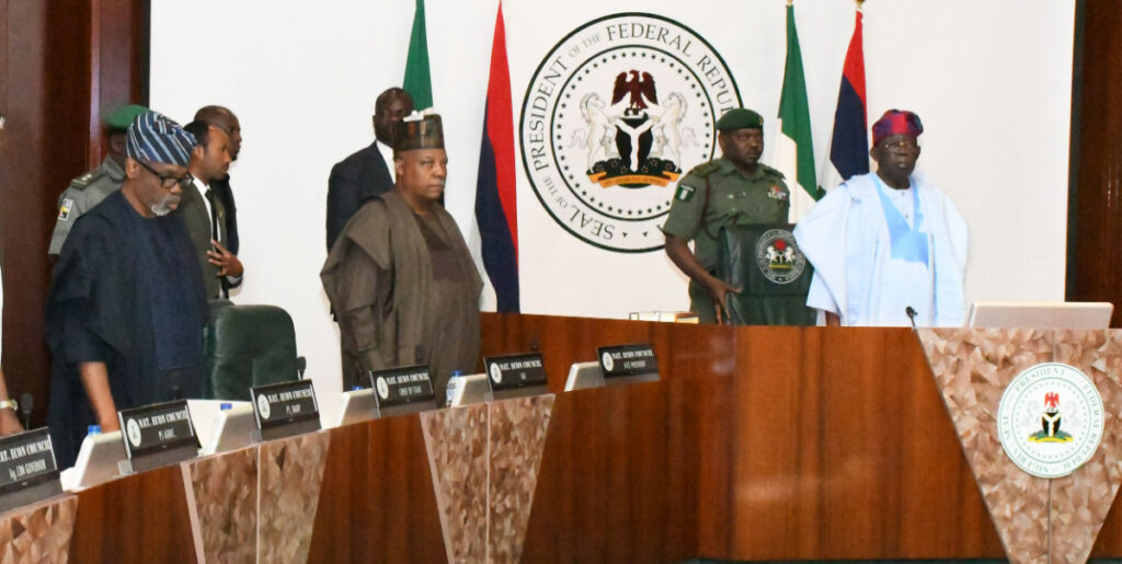 Tinubu makes 8 new appointments, inaugurates National Economic Council