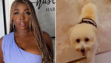 “My dog has eaten all my pants, he doesn't like the old ones” — Media Personality, Rene cries out