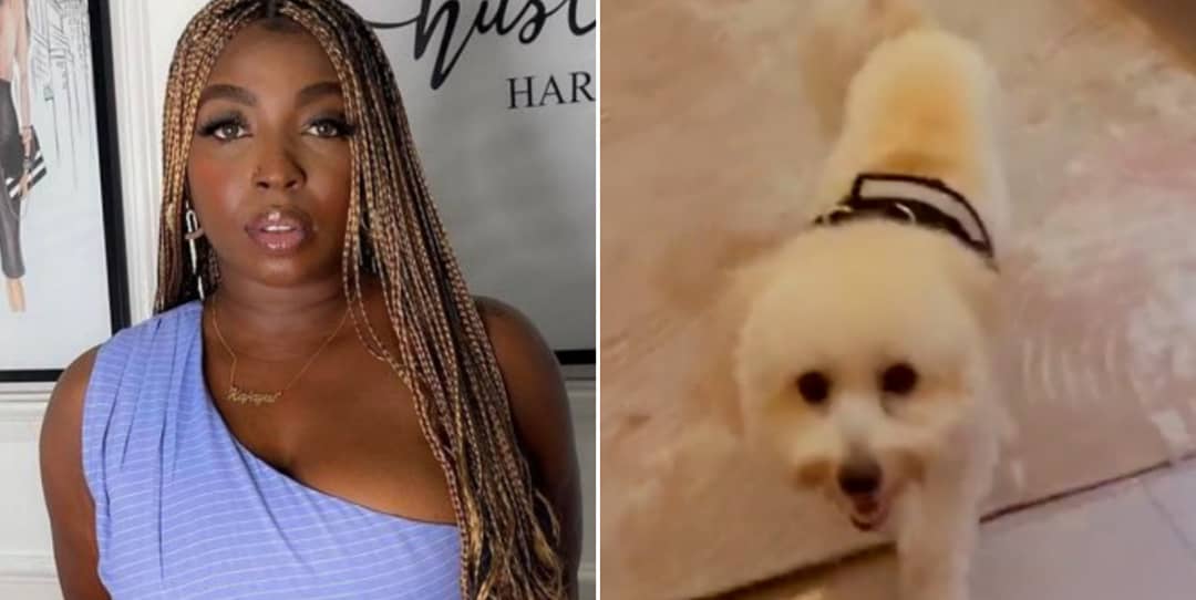 “My dog has eaten all my pants, he doesn't like the old ones” — Media Personality, Rene cries out