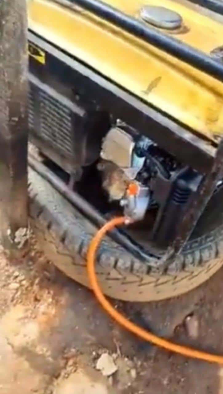 Fuel Subsidy: Nigerian man gives testimony as he powers generator with cooking gas (Video)