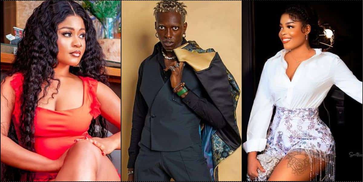 “Chichi has no husband or children, Phyna lied” – Hermes (Video)