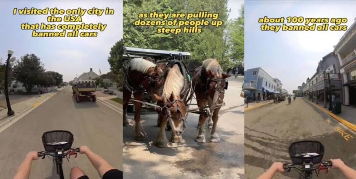 TikTok user USA cars