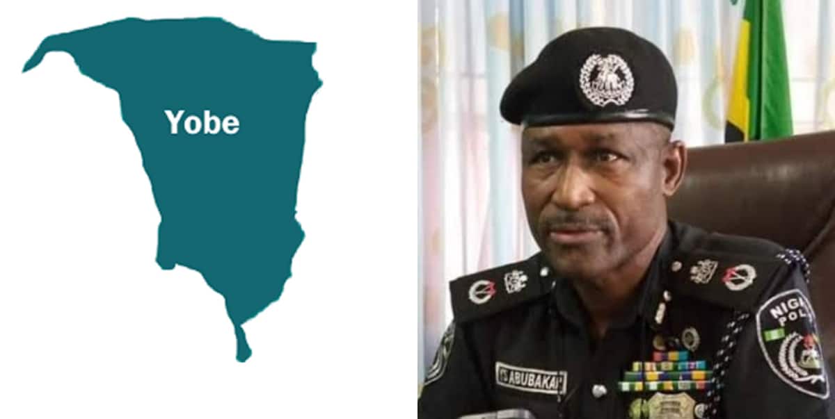 How Yobe local chief instructed sons to burn man to death for having affair with his wife ― Police