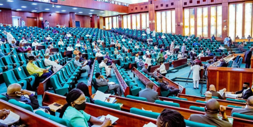 Reps reject motion seeking to ban Nigerians from leaving the country