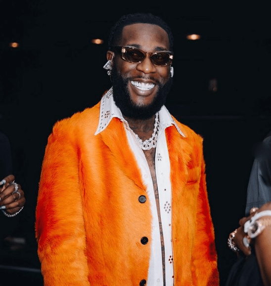 Burna Boy Net Worth