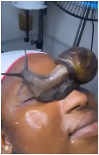"Its giving ritual vibes" - Lady treating skin allows live snail crawl on her face