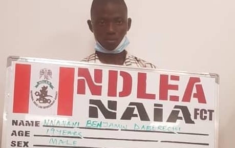 NDLEA arrests Europe-bound 19-year-old student with drugs