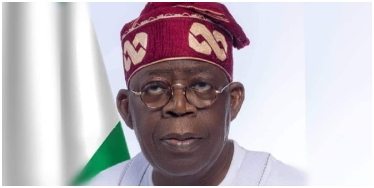 "The youths should be patient; you will get loans from microfinance banks” - President Tinubu