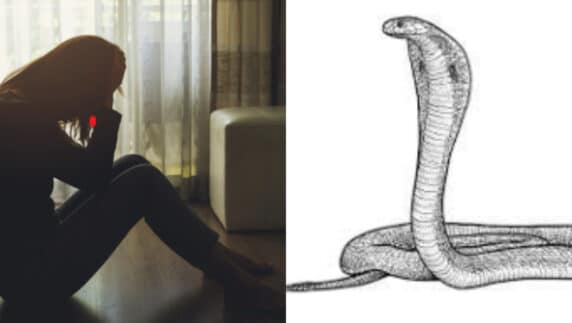 Woman opens up about sleeping with snake to boost husband's business