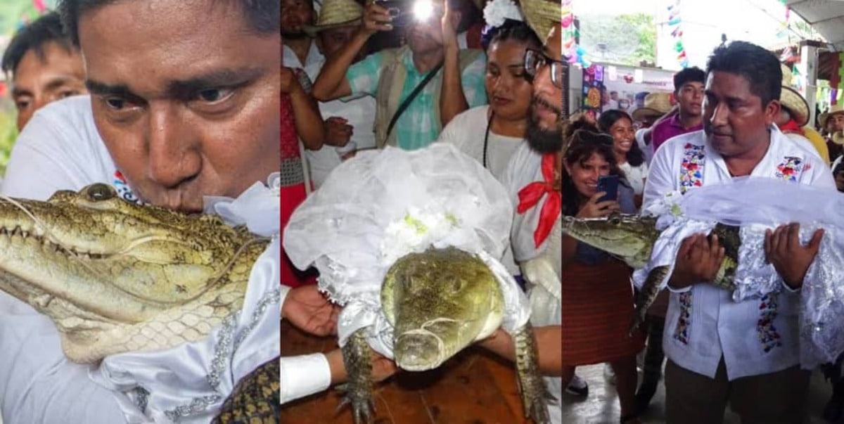 Major of Mexico town reptile