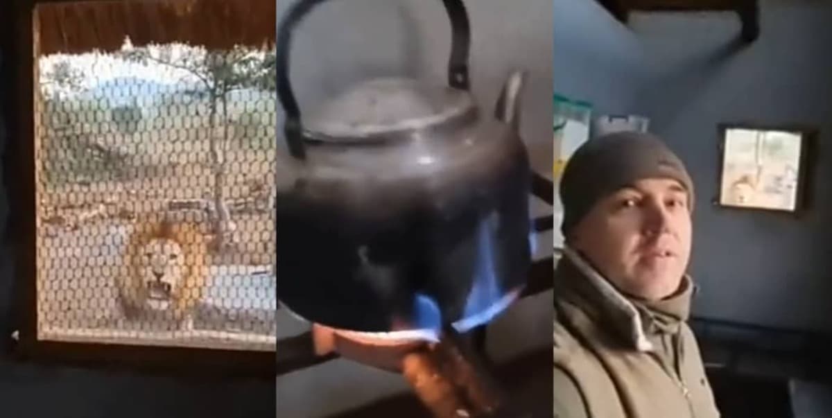 Kitchen Man Lion Coffee