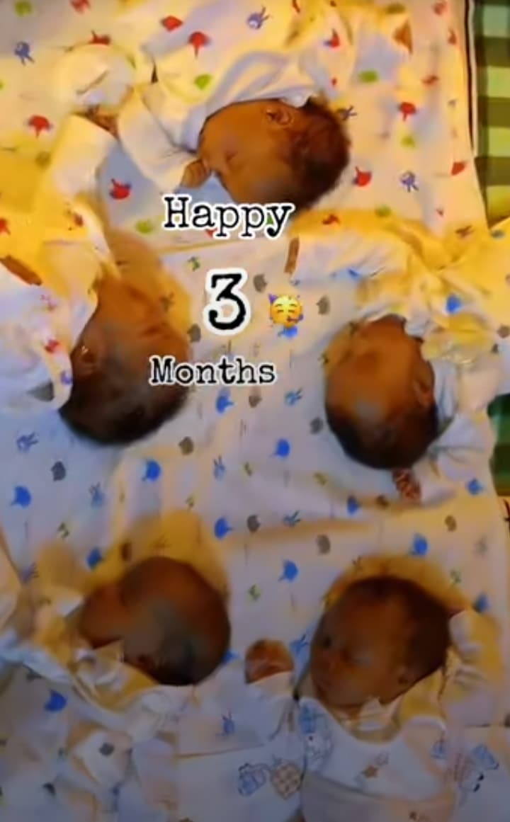 Nigerian mum celebrates quintuplets as they clock 3 months Photo credit: @chidimmaamaechi34/TikTok.