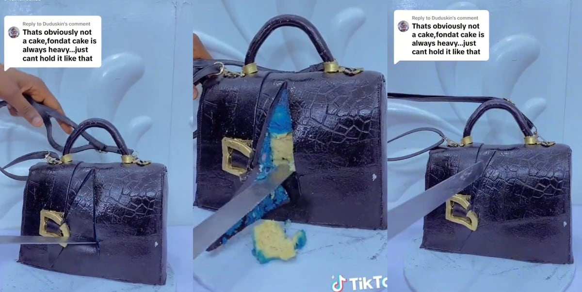 Baker Bag TikTok Video